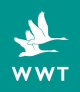Wildfowl and Wetland Trust