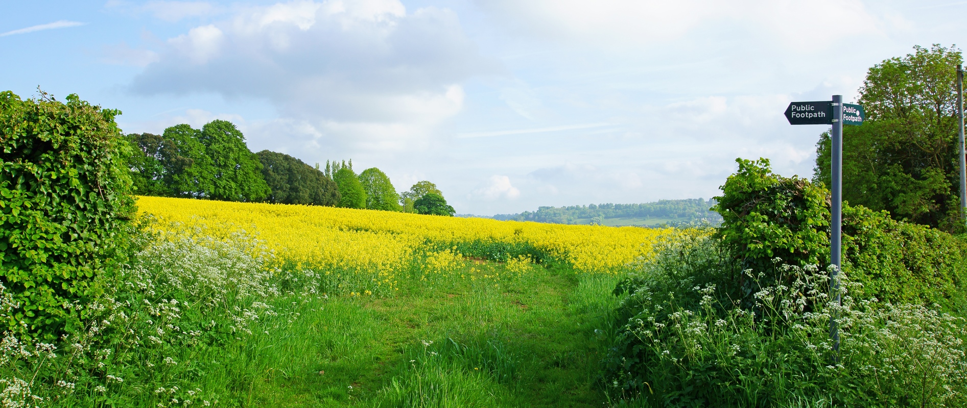 An image of the countryside on a sunny day with a public footpath sign pointing the way