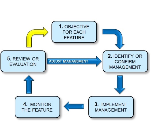 Adaptive Management Planning