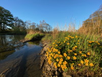 Conservation Management System Benefits Conservation Management System Benefits