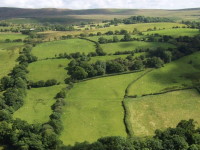 Conservation Management System Solution Conservation Management System Solution