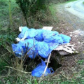 Flymapper fly tipping website and mobile app