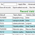 NBN Record Cleaner