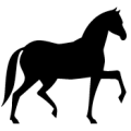 Pennine Bridleway Survey