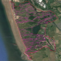 Kenfig Burrows Survey