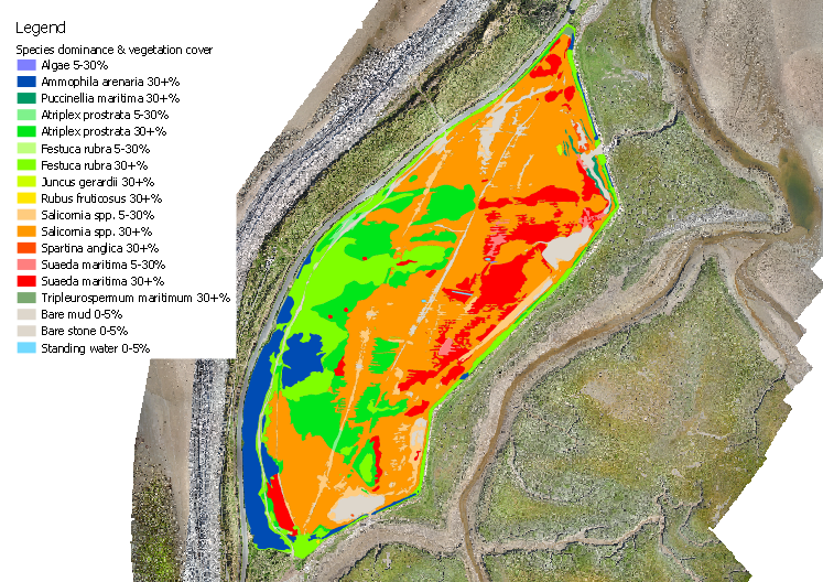 Morfa Friog habitat map