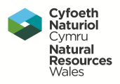 Natural Resources Wales logo