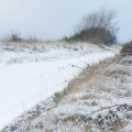 Powys footpath - Offa's Dyke