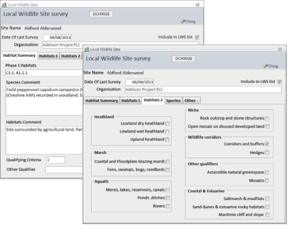 Custom LWS Survey pop-up form showing tab contents