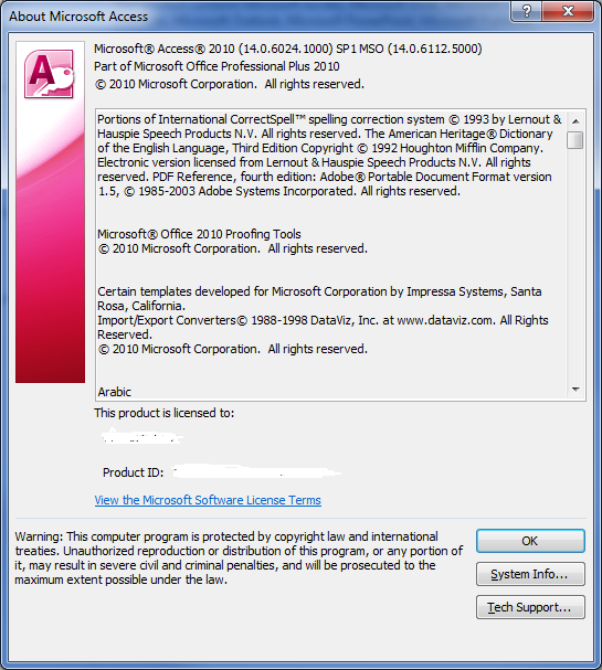 access 2010 support